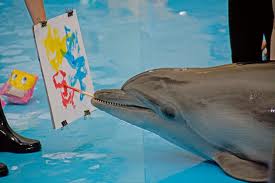 дельфин рисует