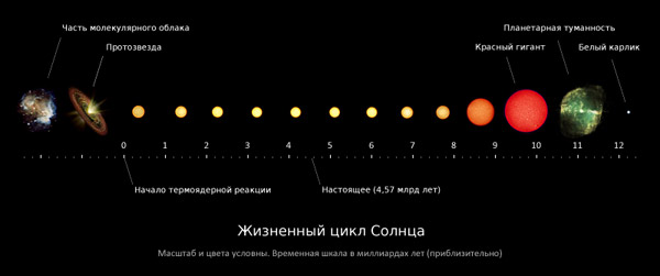 Этапы эволюции Солнца
